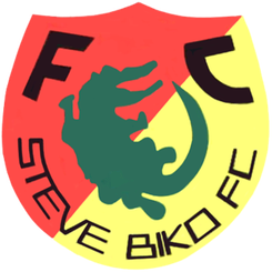 麦地那联队FC