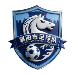 武汉队