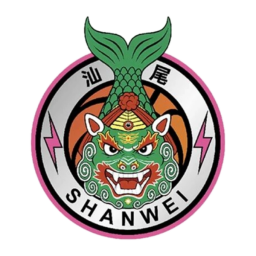 深圳队